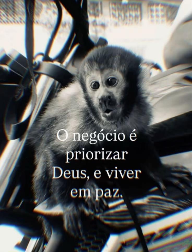 @moraees72