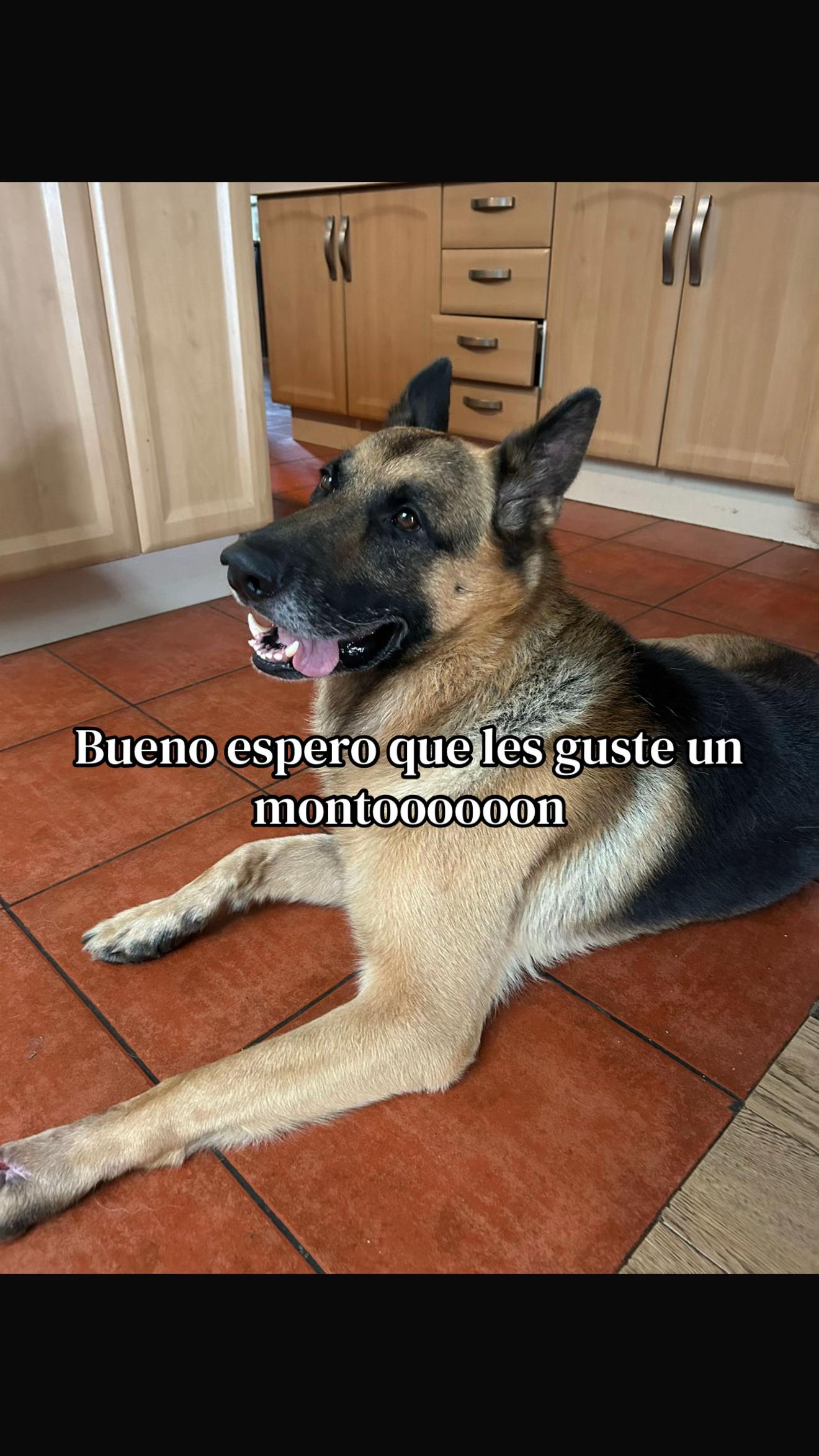 @paulapascanio