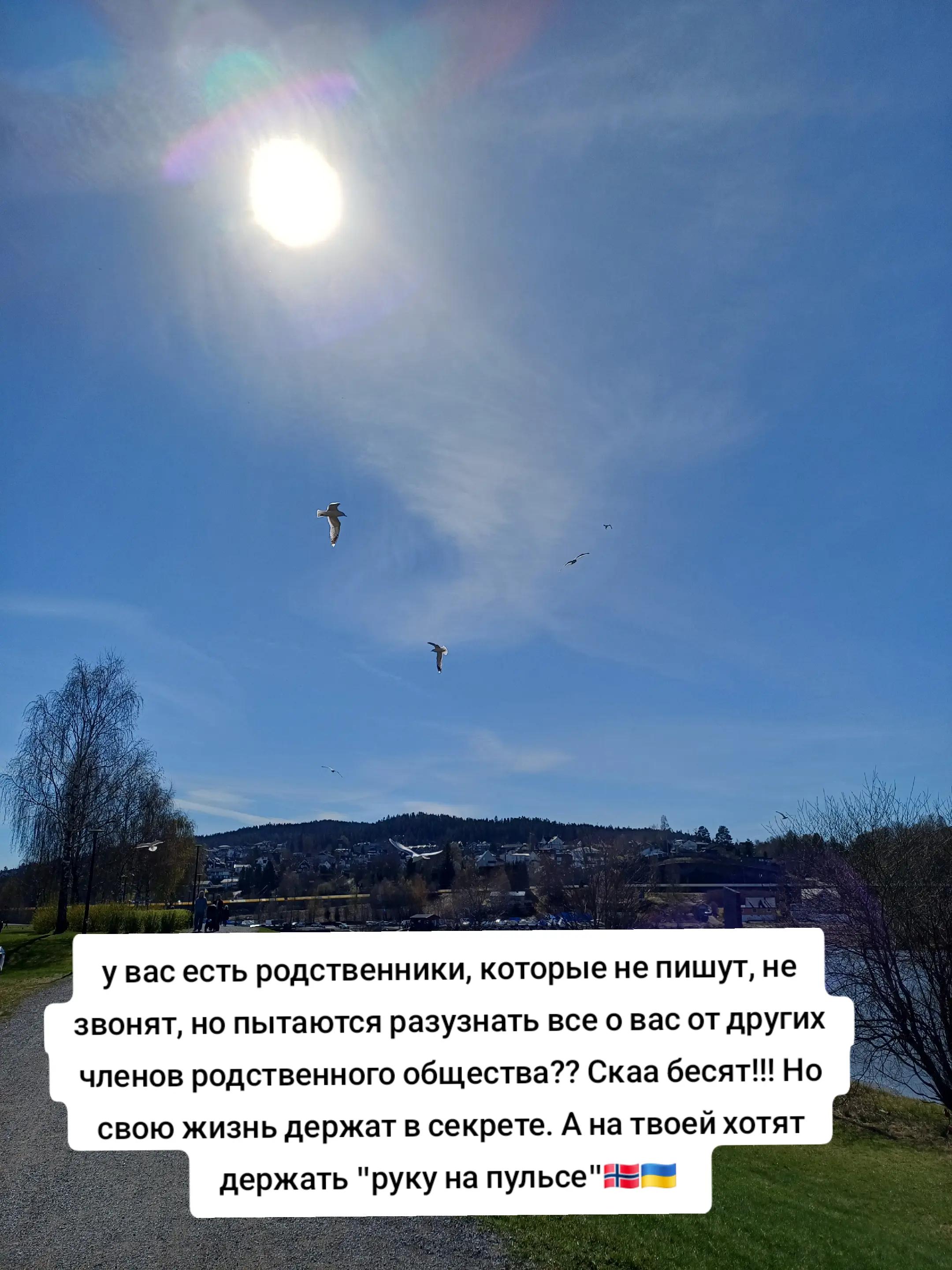 @Norway 🇳🇴 🇺🇦