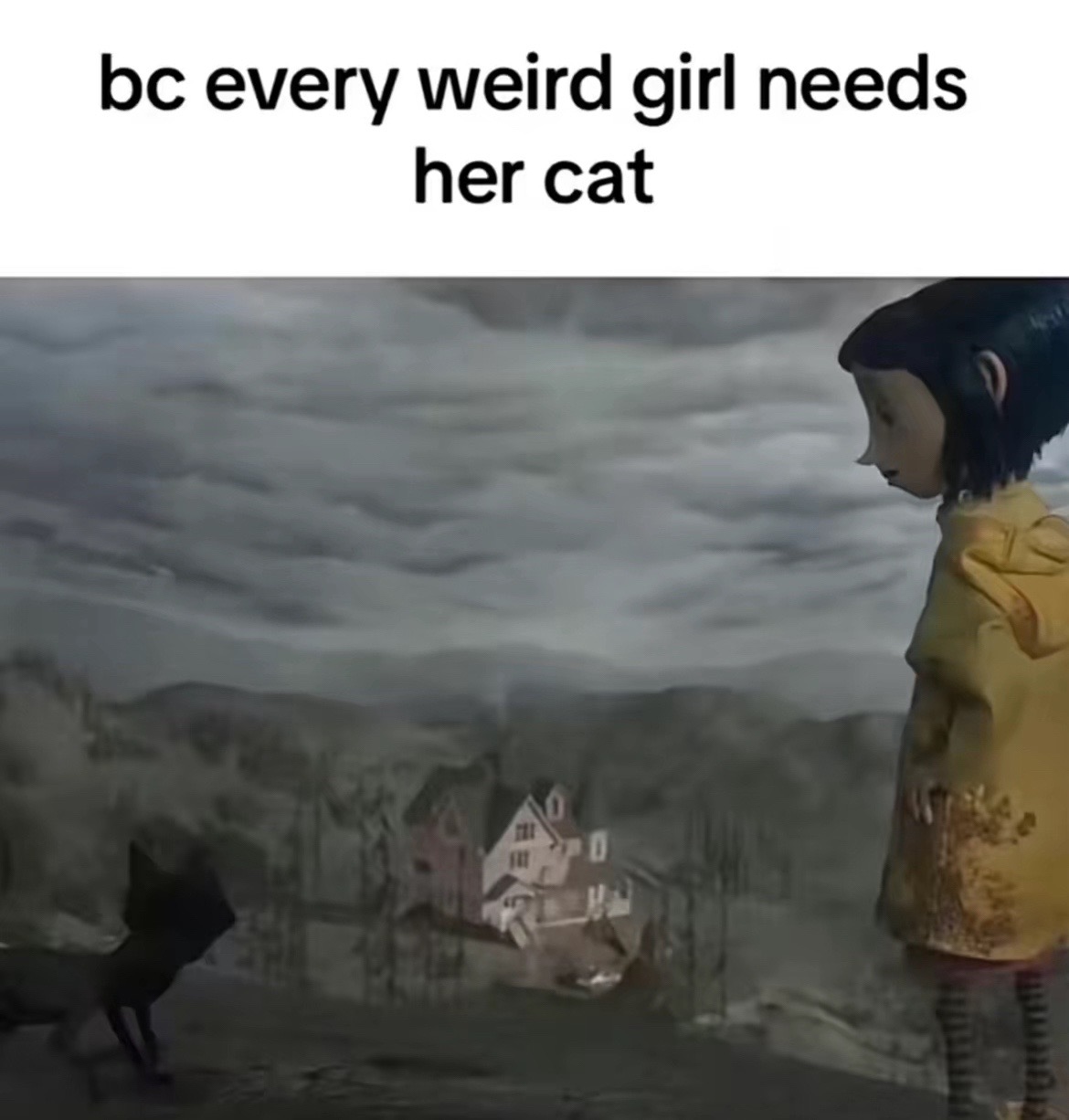@dev ⛧