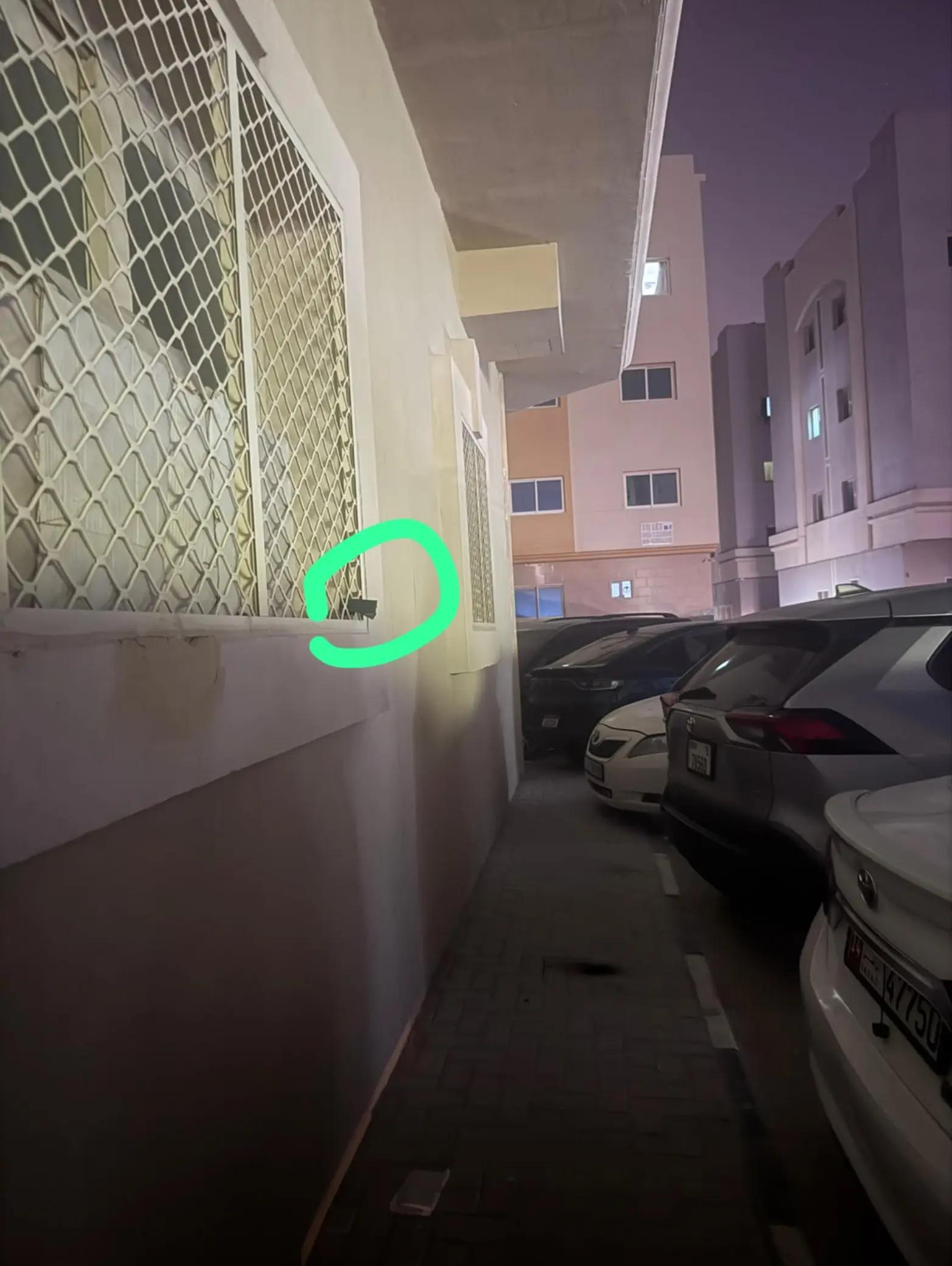 @محمد قاسم