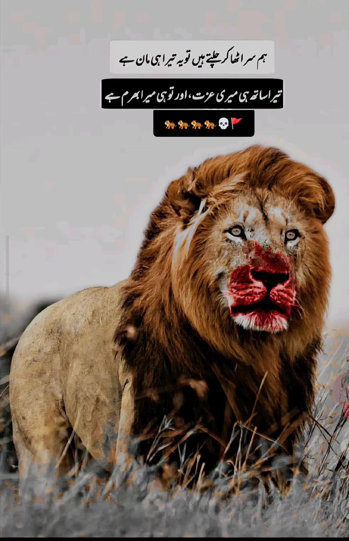 @&Scaron;p&aring;ňiśh B&oacute;y🥷🏽🦅