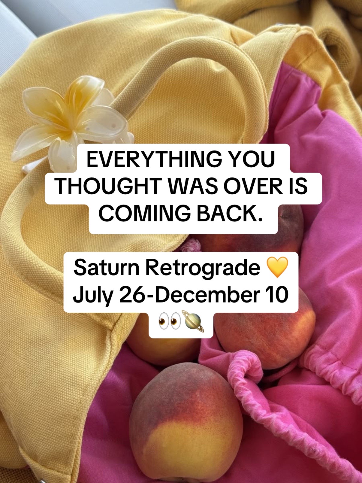 @Camila Regina 🐝