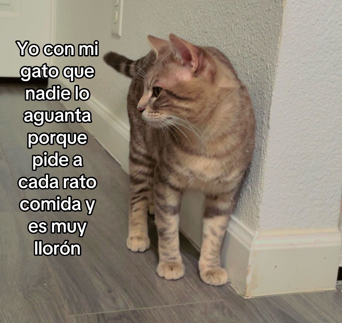 @Alberto
