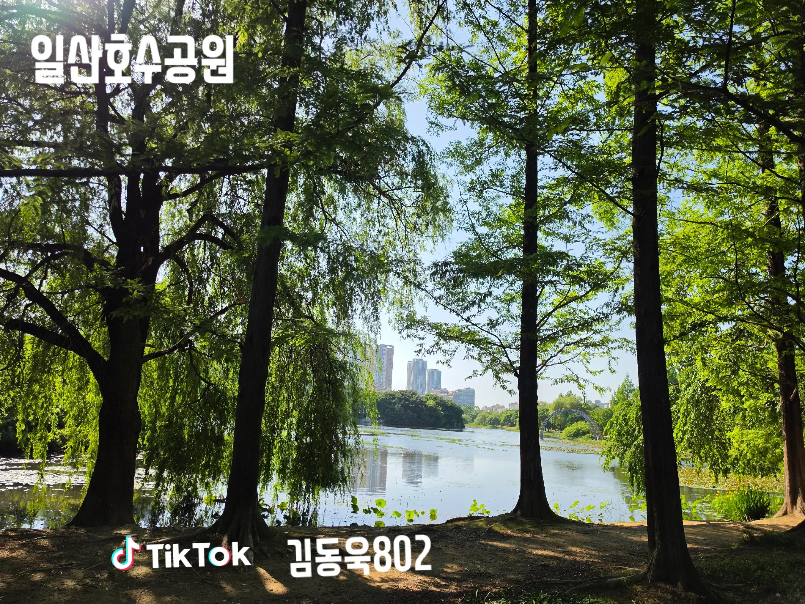 @김동욱802