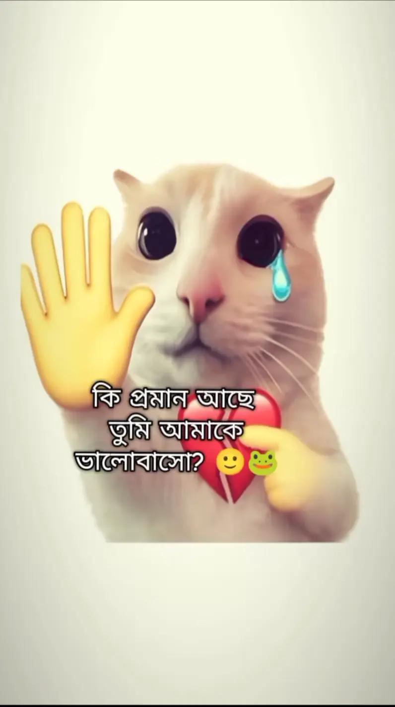 @Mariya 🕊️