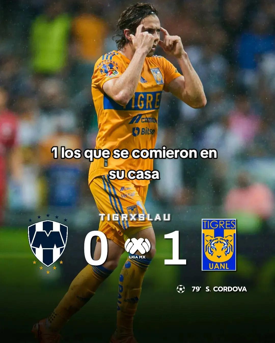 @𝗧𝗜𝗚𝗥𝗘.𝗠𝗧𝗭