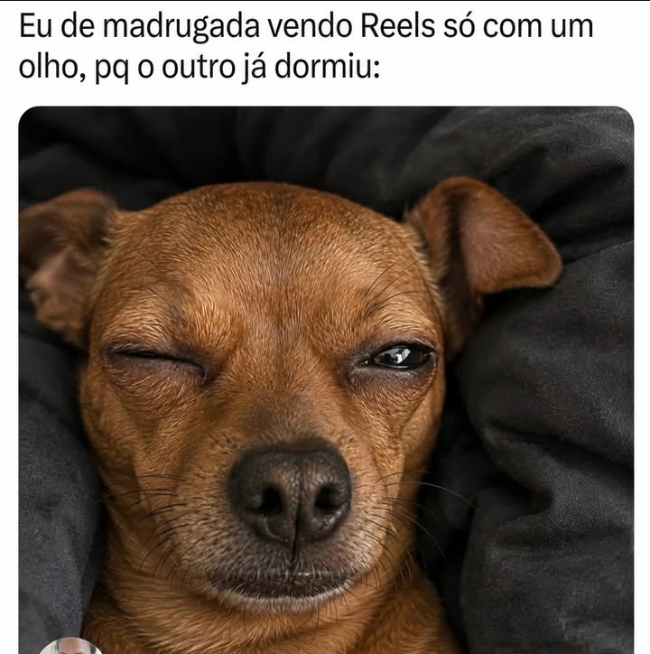 @vandosilva1839