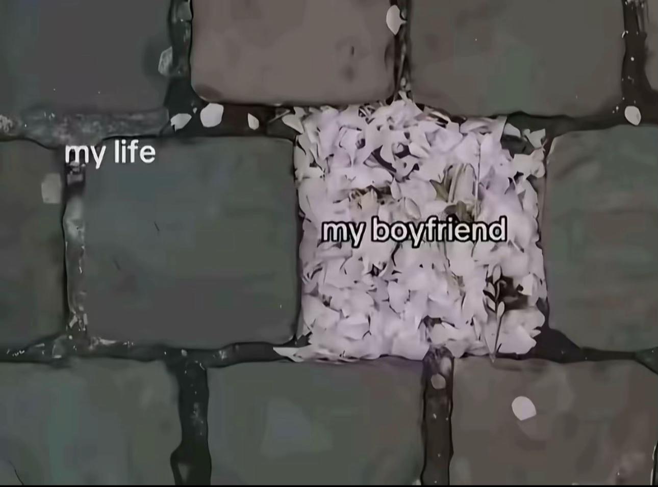@DSHNMVV