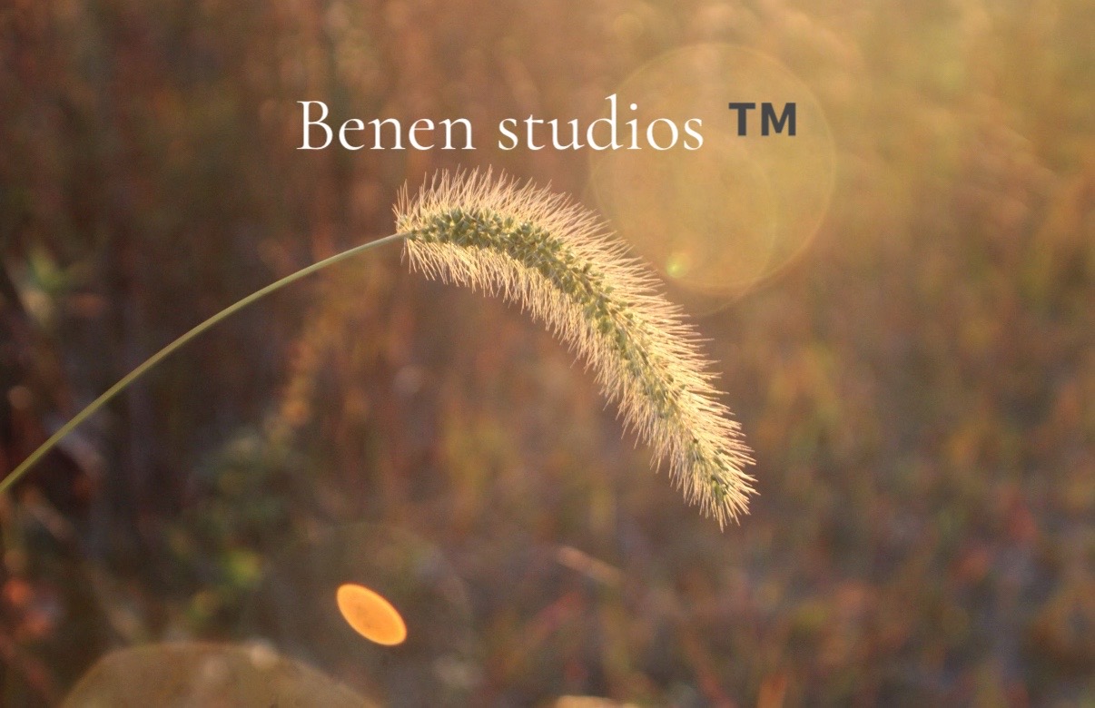 @onlybenen
