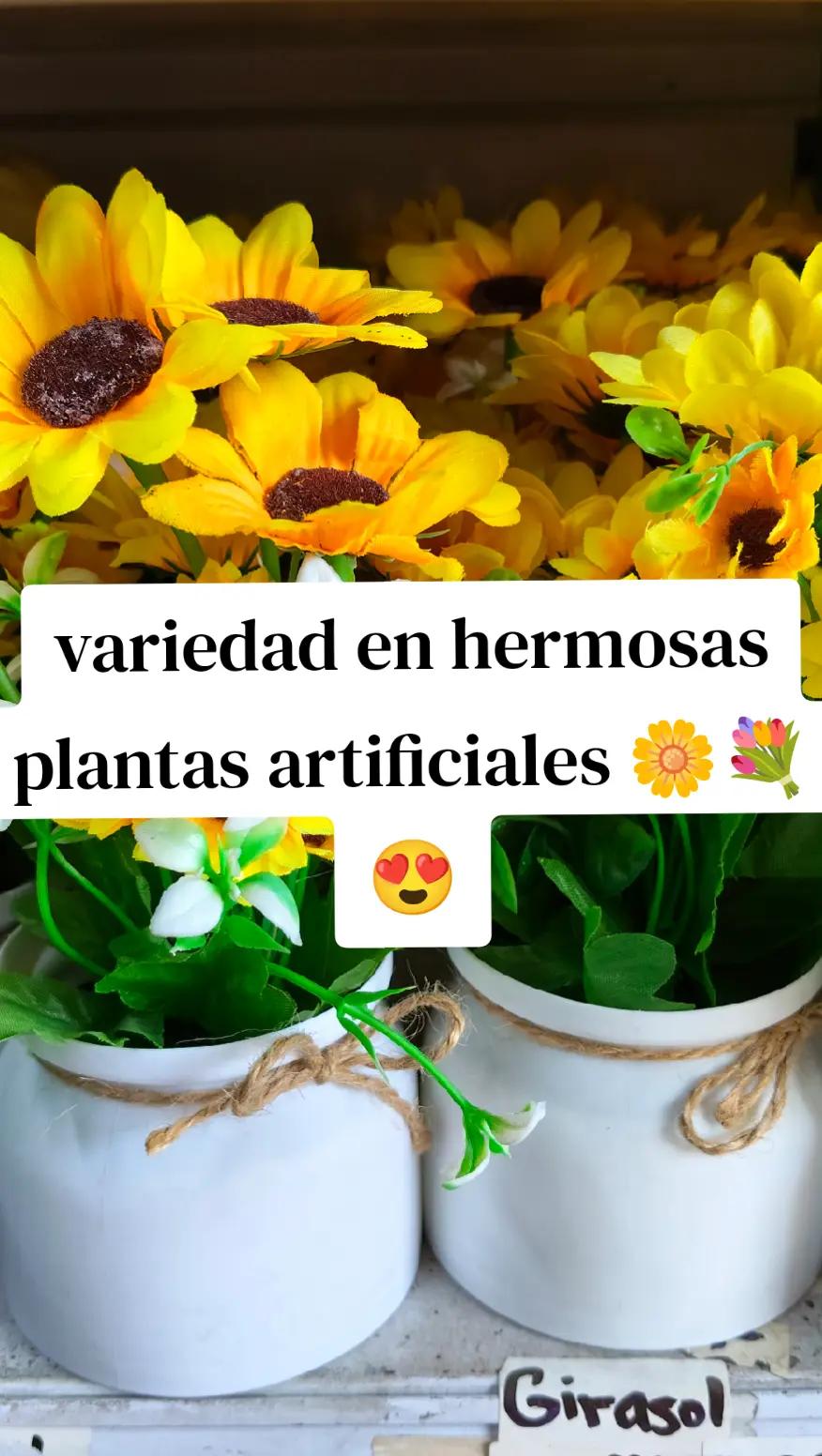 @MSJPLAST PERU