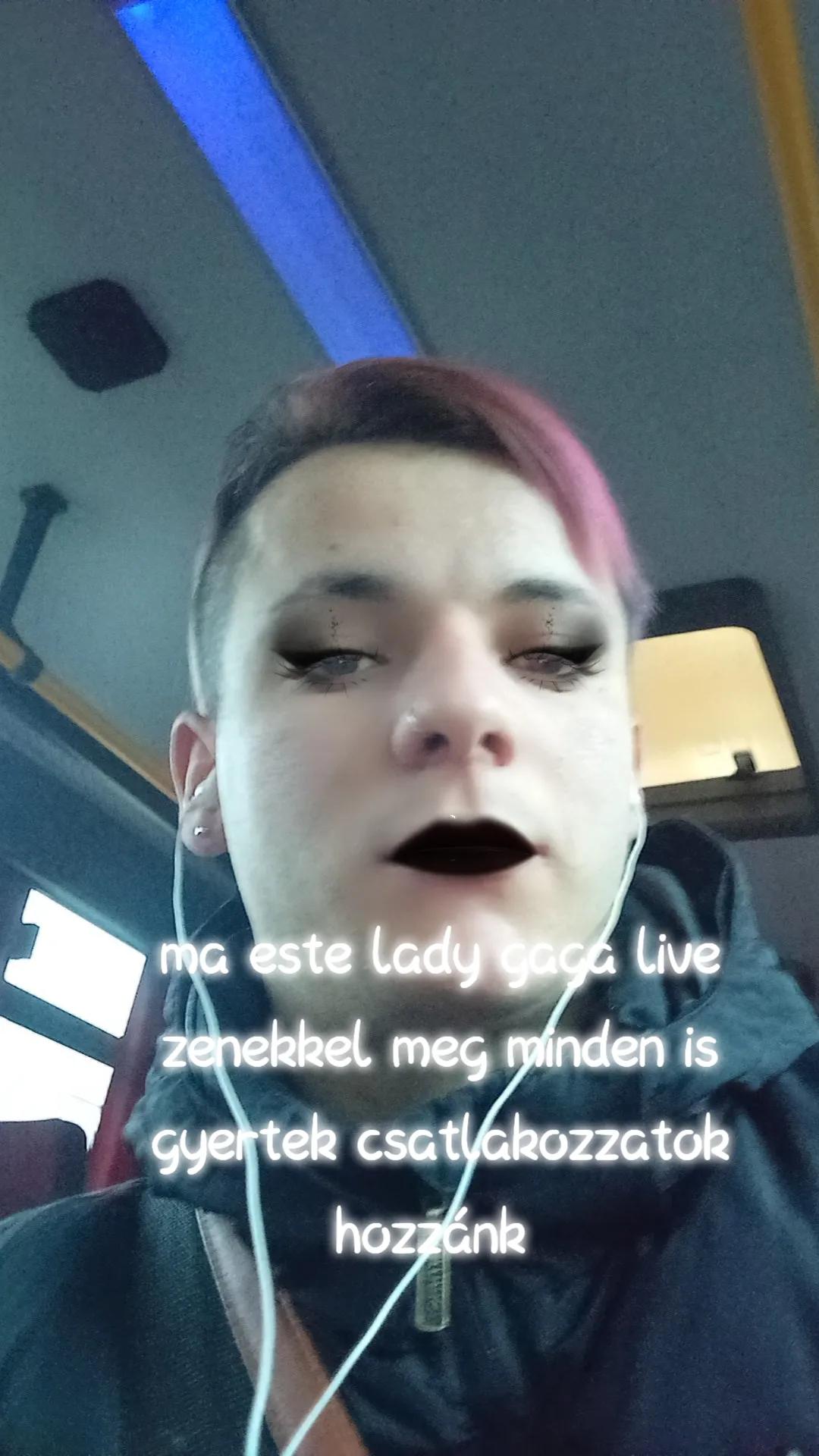 @lady gaga