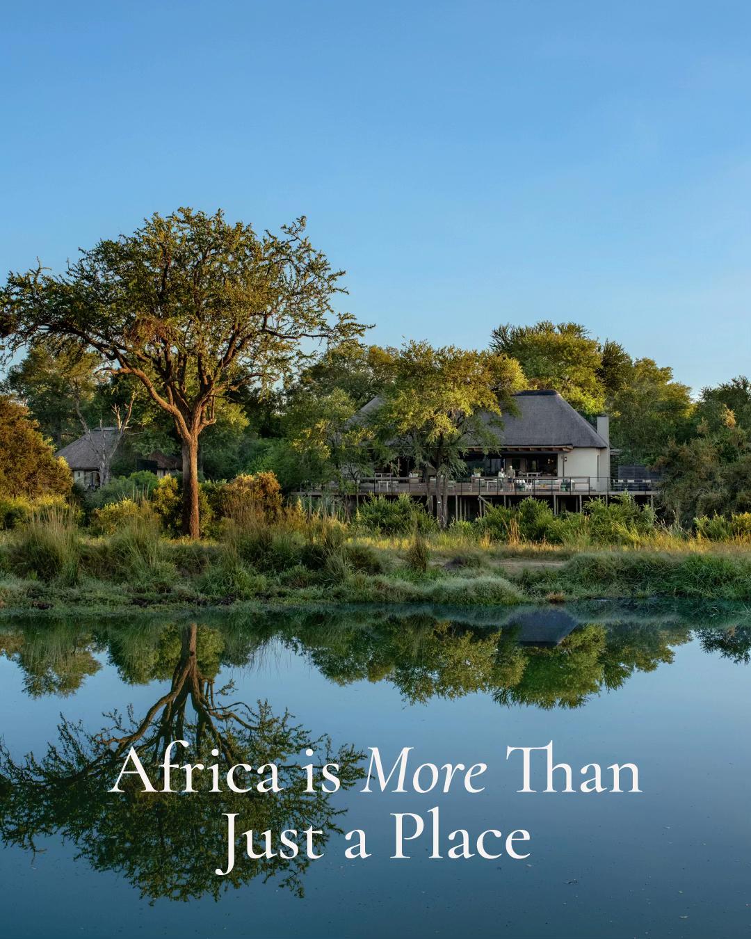 @Thornybush