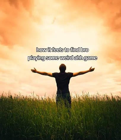 @filester