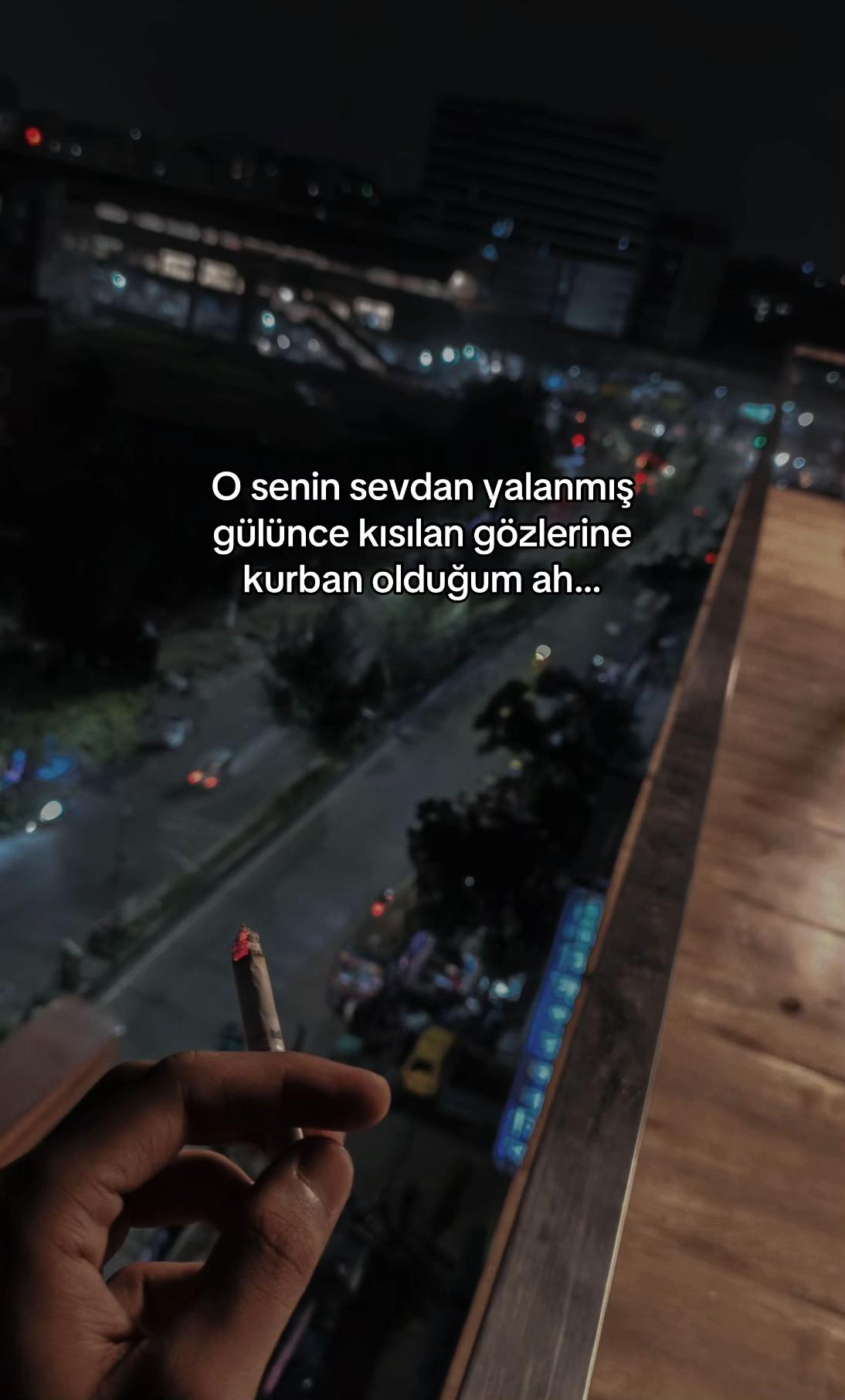 @seviyorgibiydin24