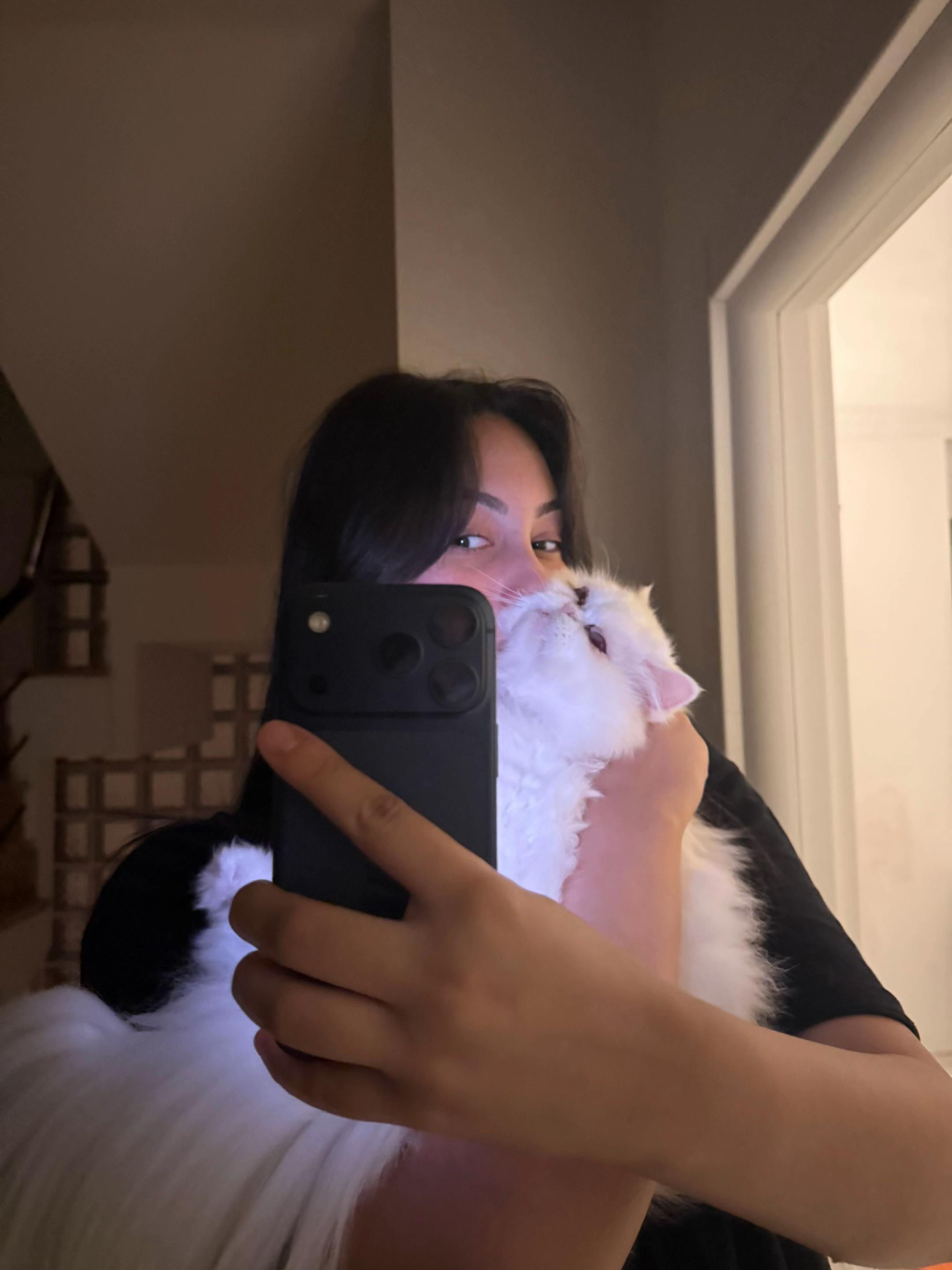 @sueaslan
