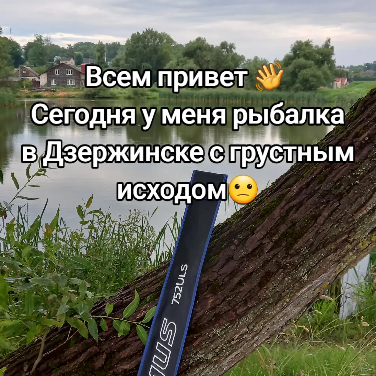 @TimaFish