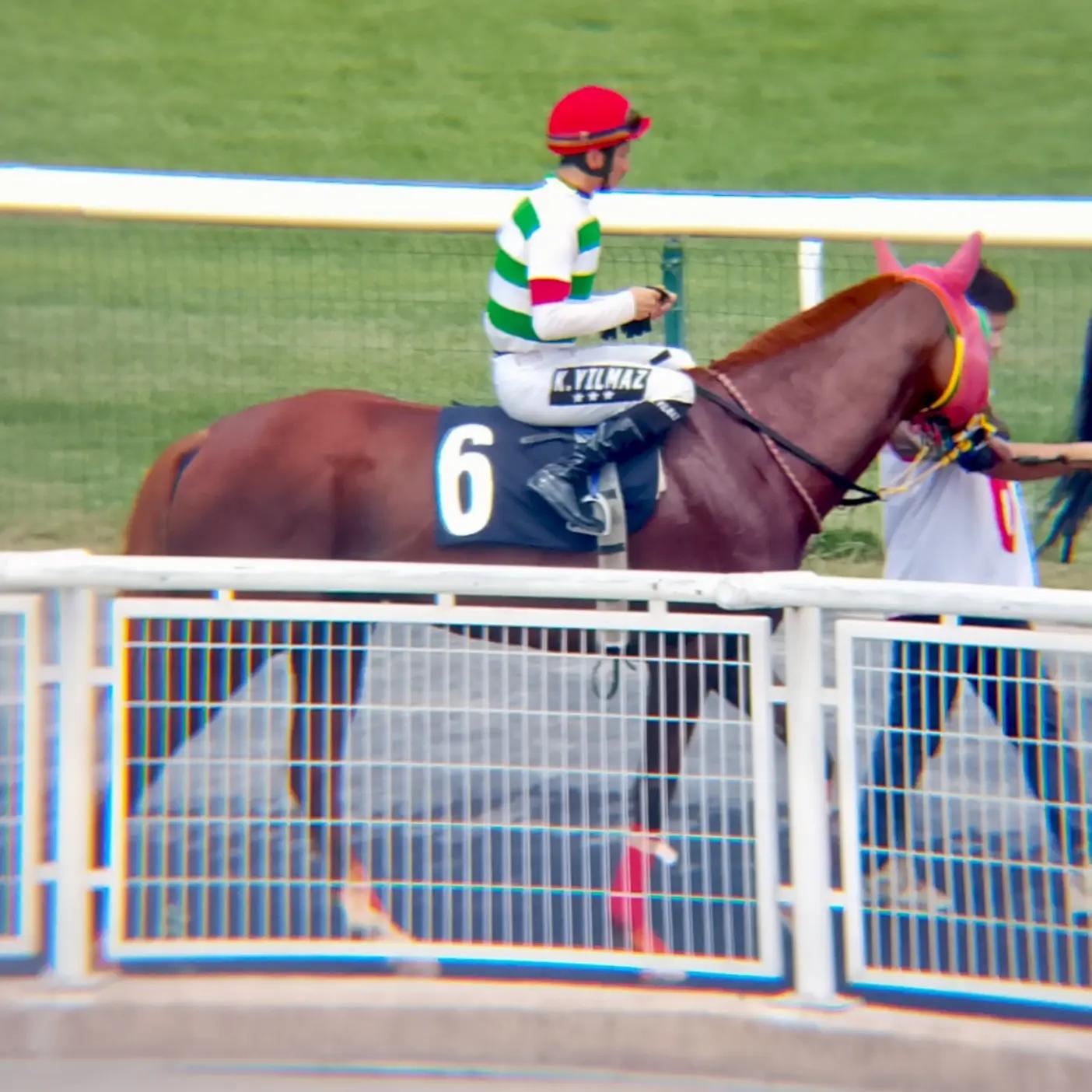 @brs horse racing