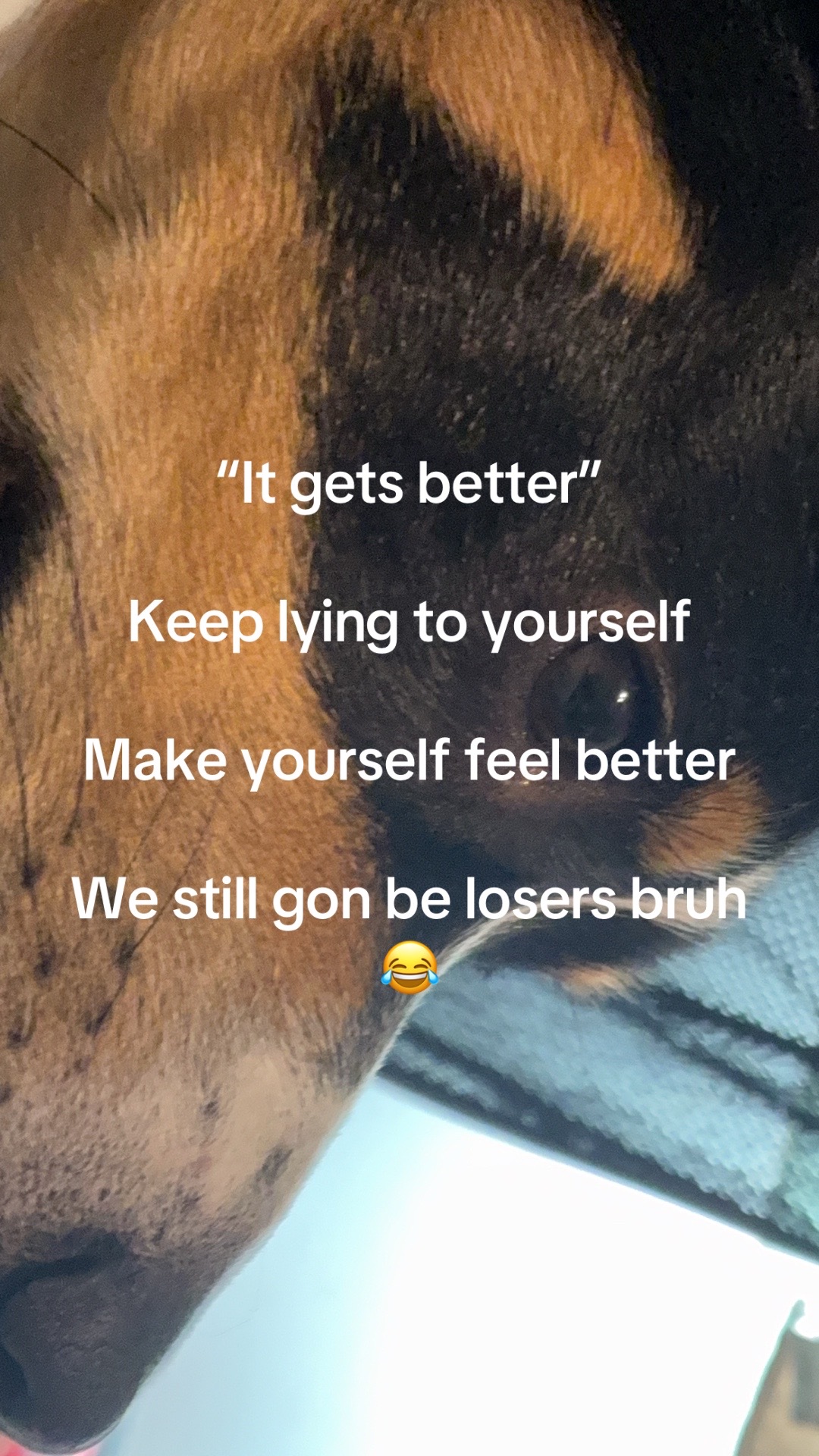 @keldisper