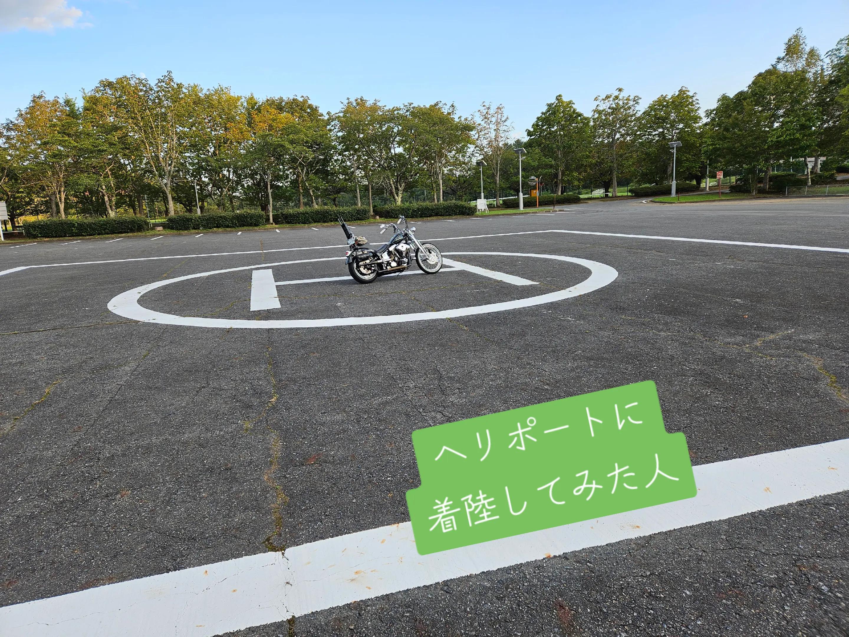 @✠アリゾナ〉ガレージ66ペイント𝒉𝒐𝒖𝒔𝒆✠