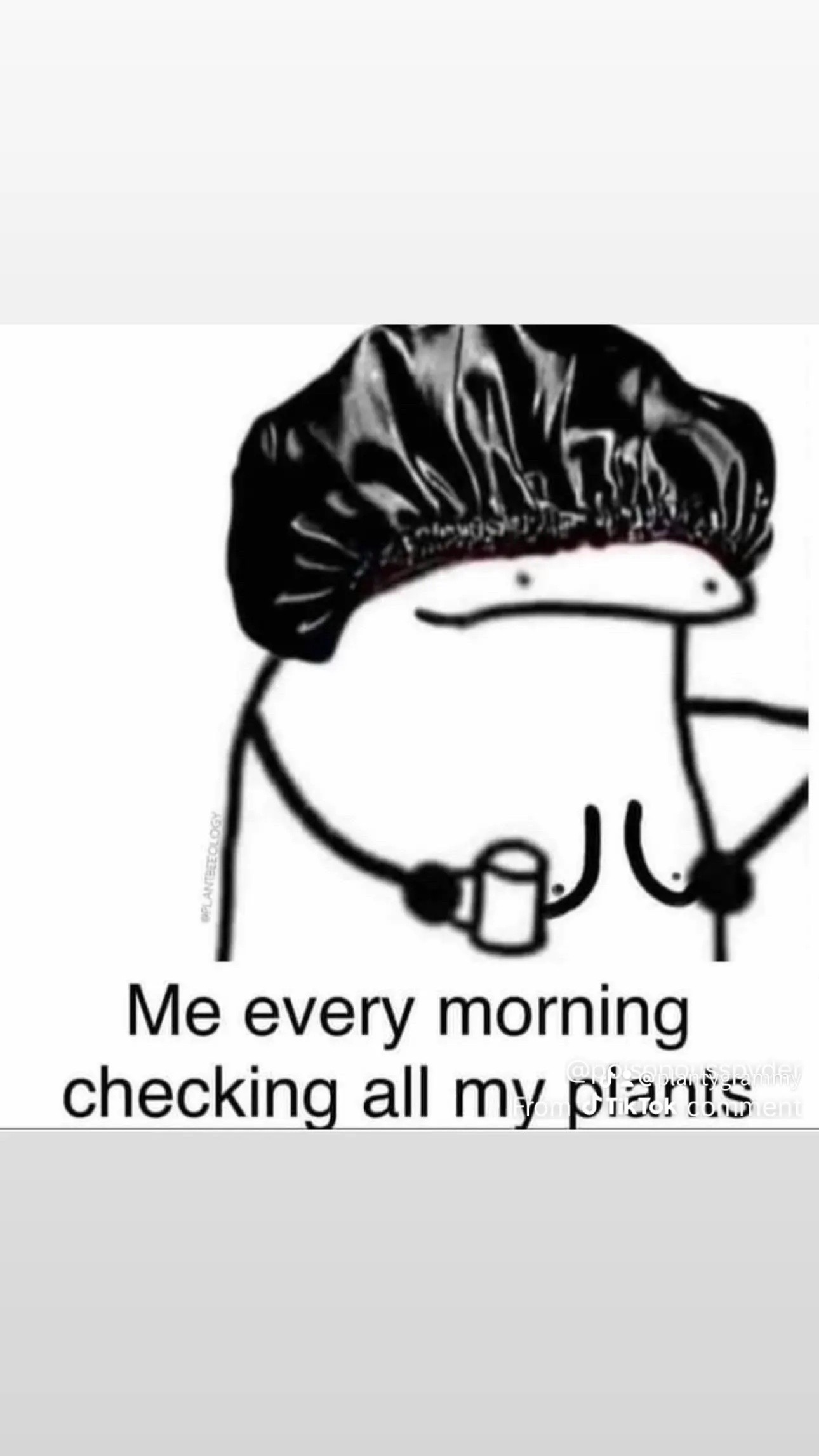 @Planty Grammy