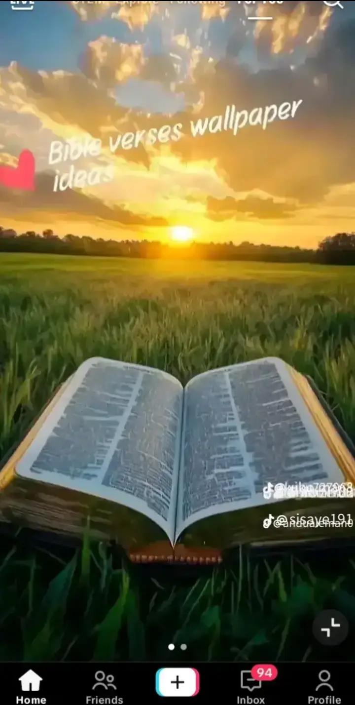 @figawu