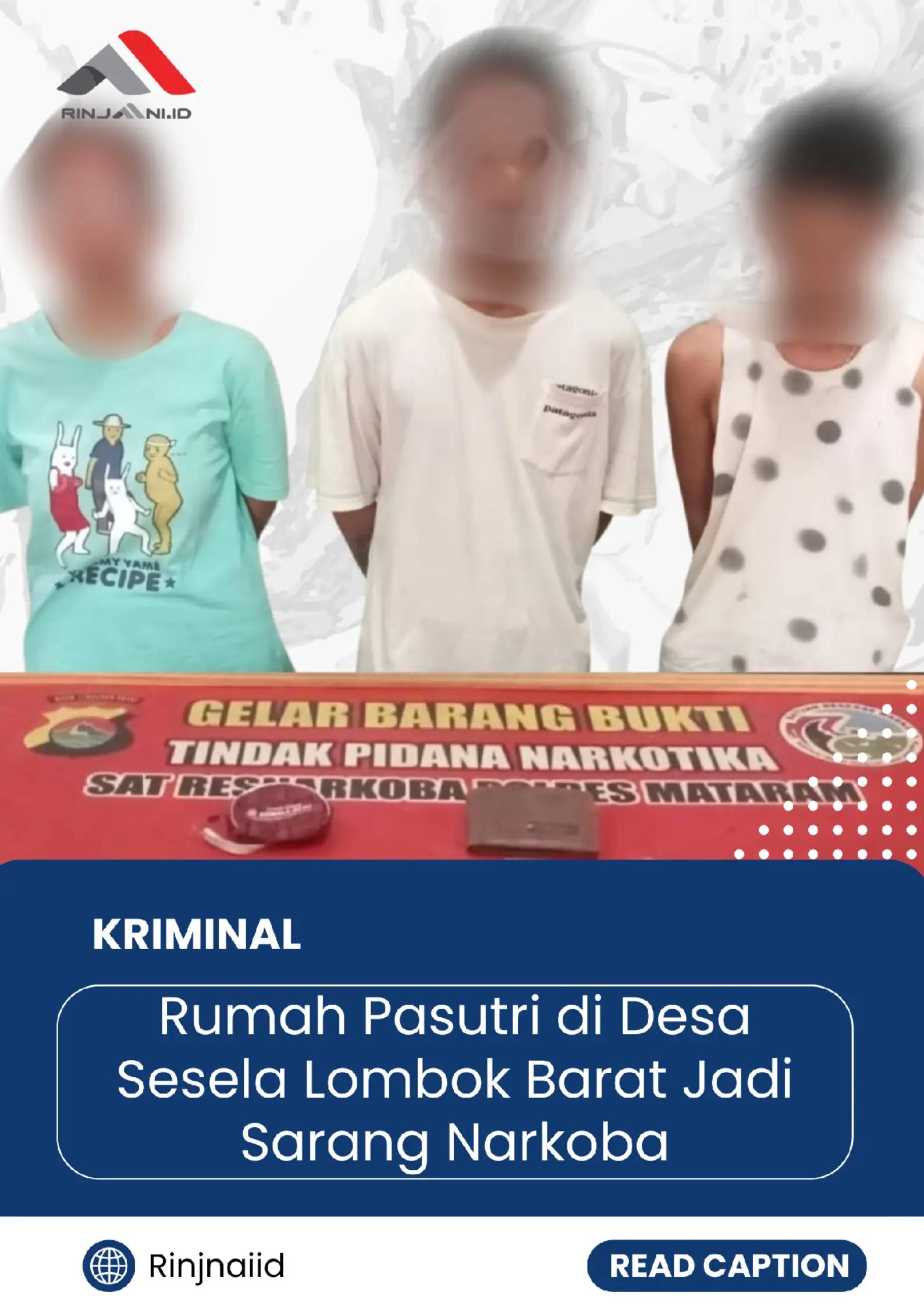 @Rinjani.online