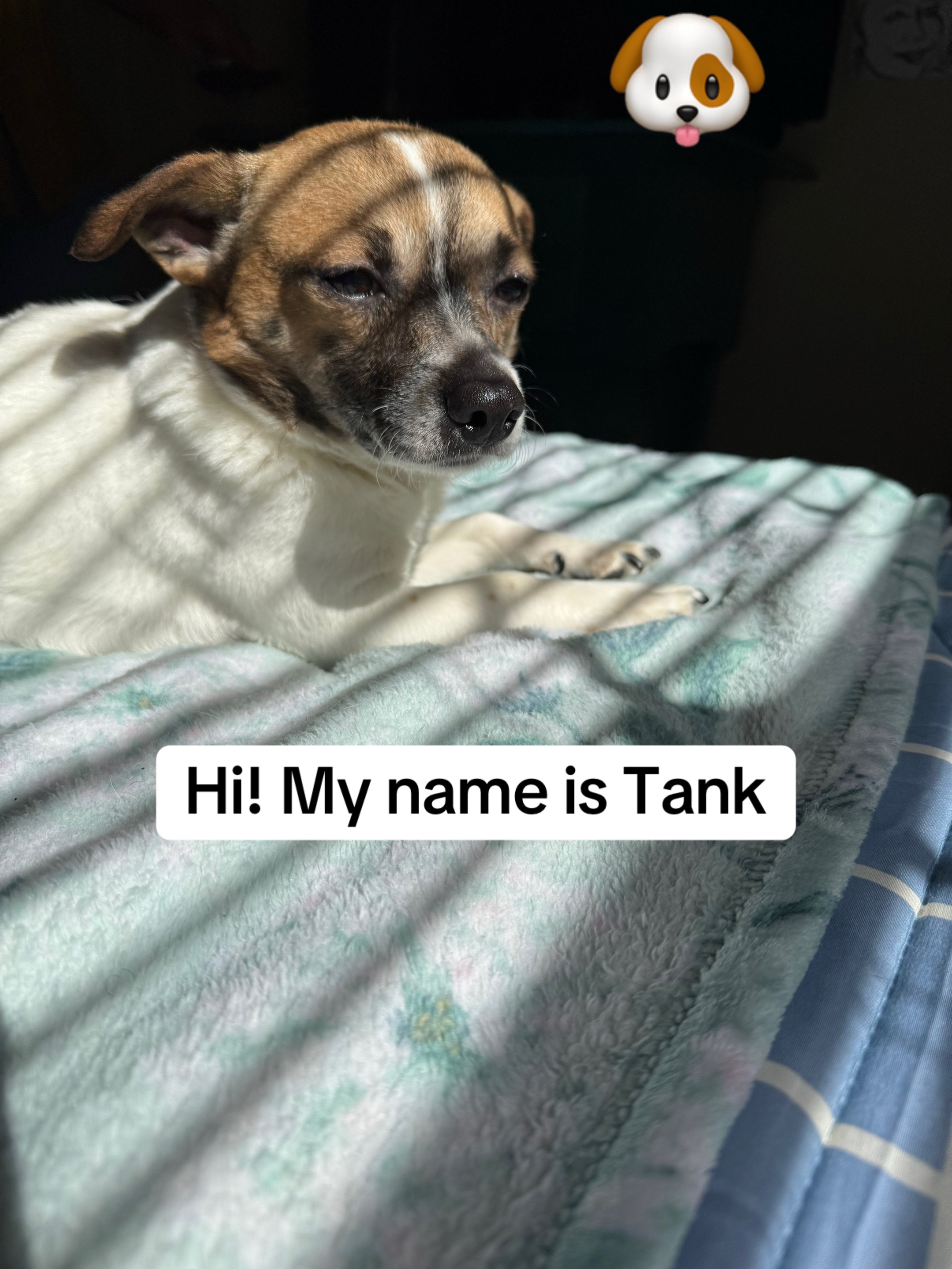 @Tank