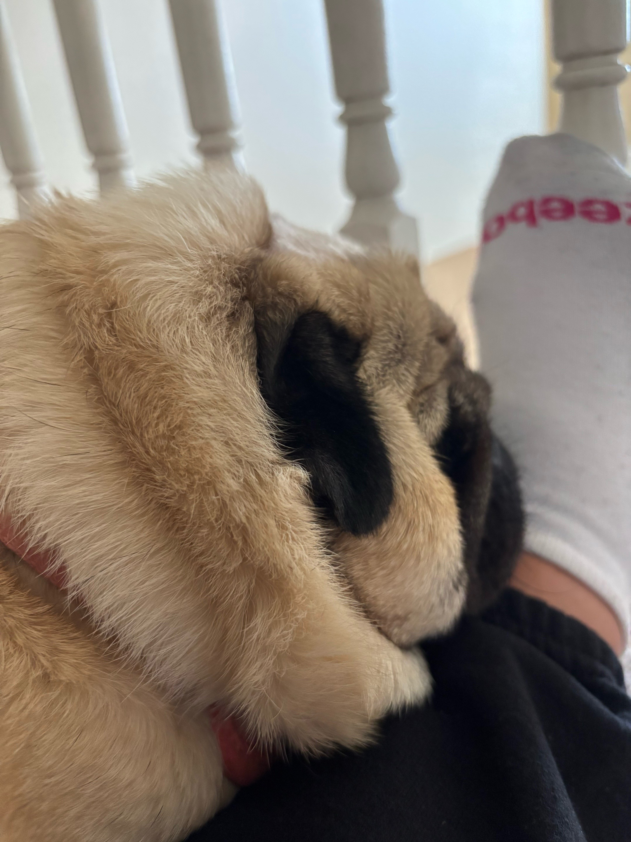 @PUGNAROUND