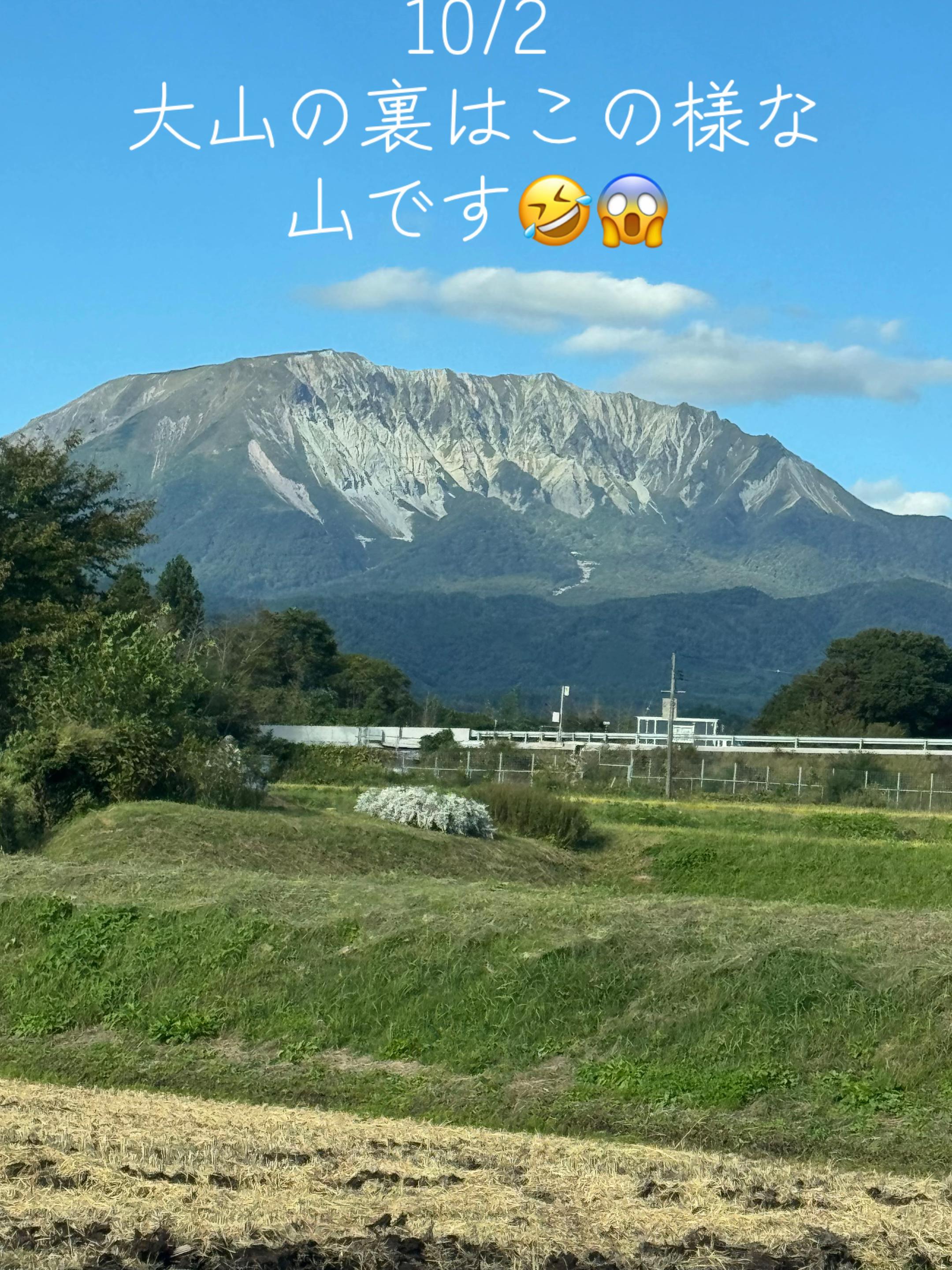 @とのひかる🐾🐈🐈⬛🐾