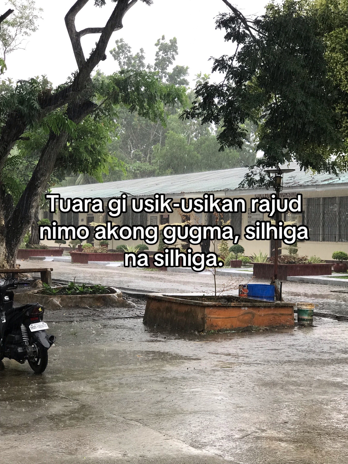 @Dinasure🤪