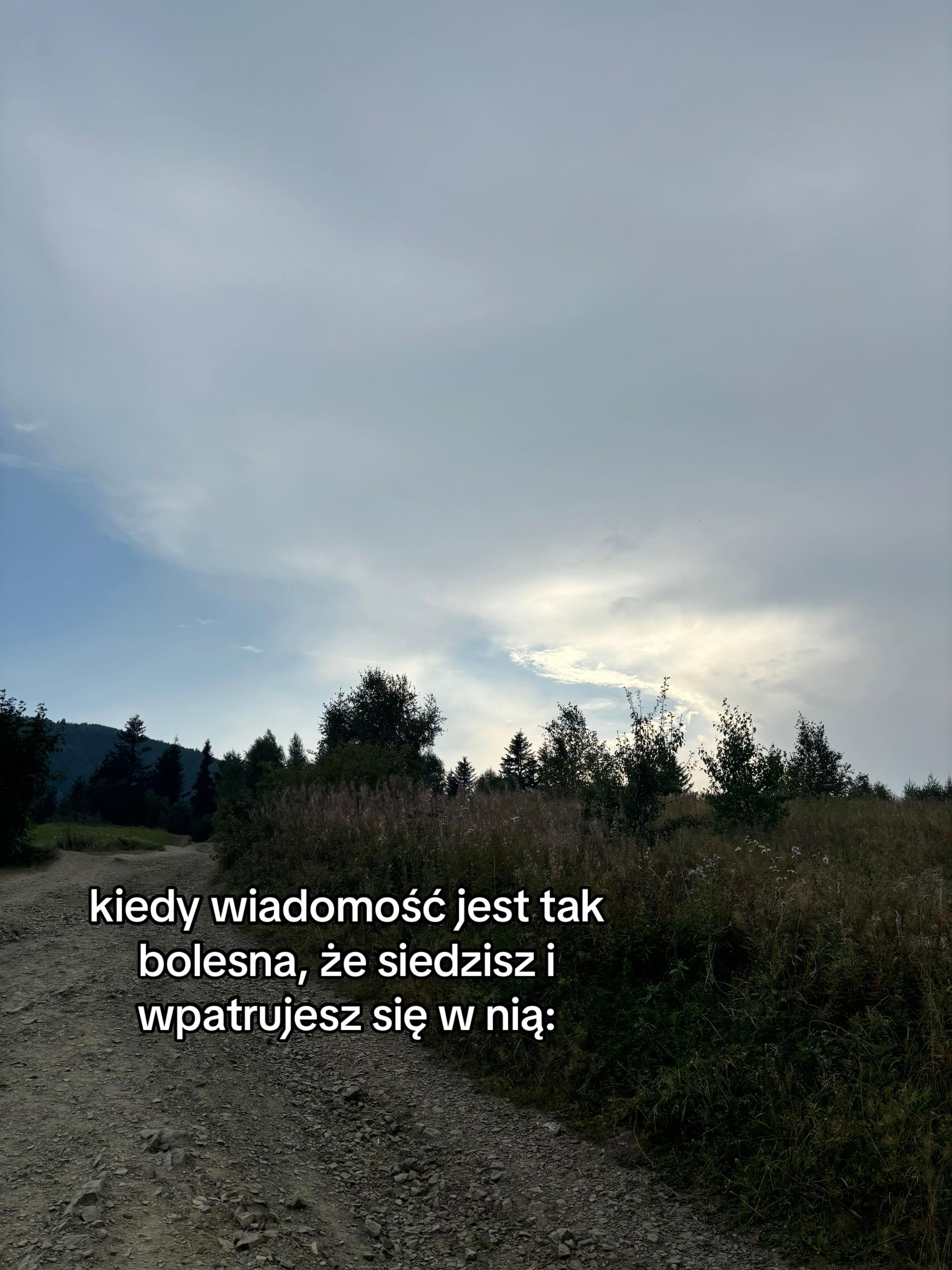 @vvrtves