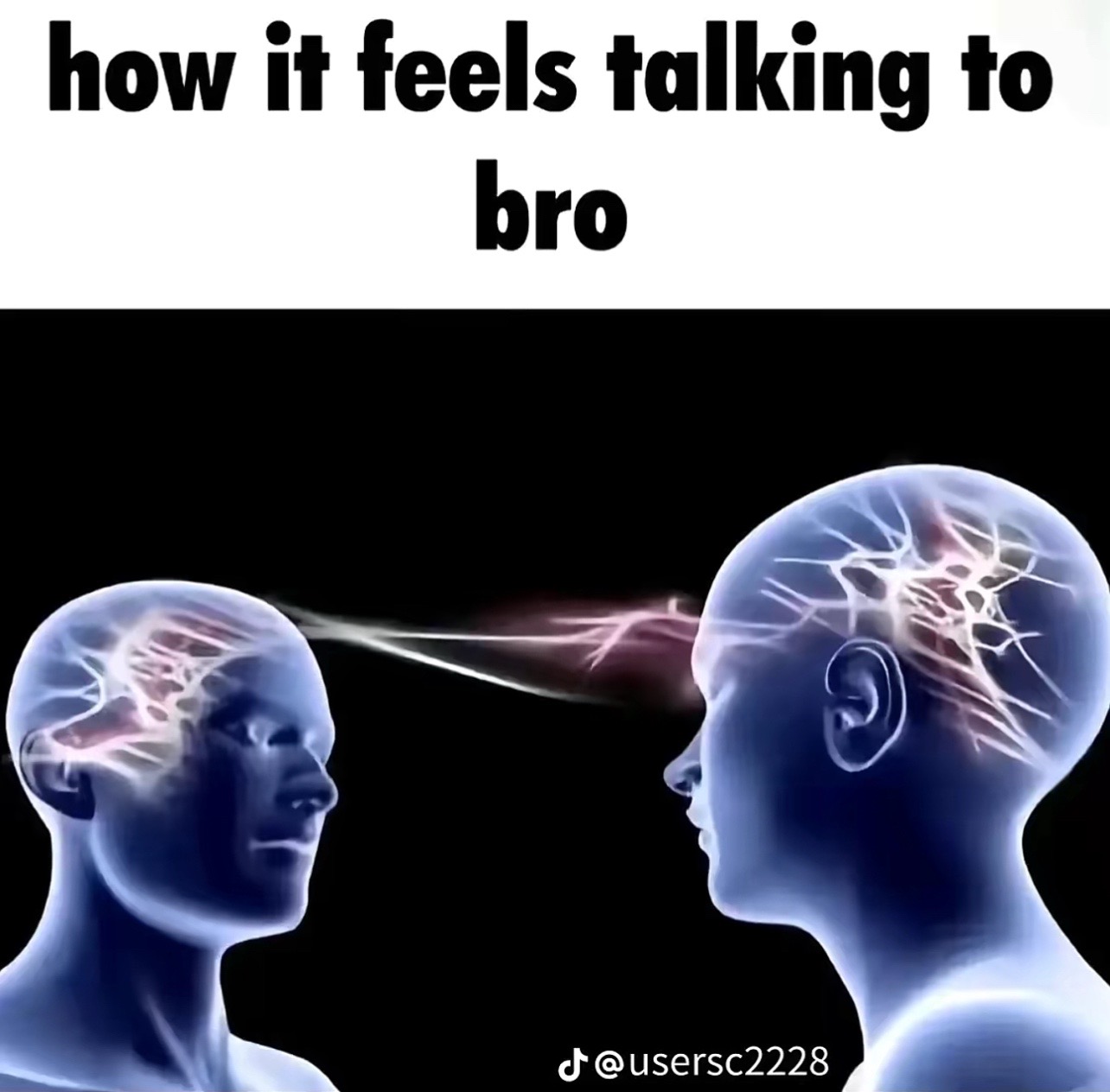 @potatoesss77