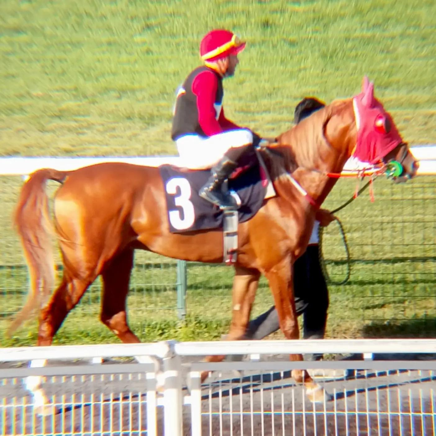 @brs horse racing
