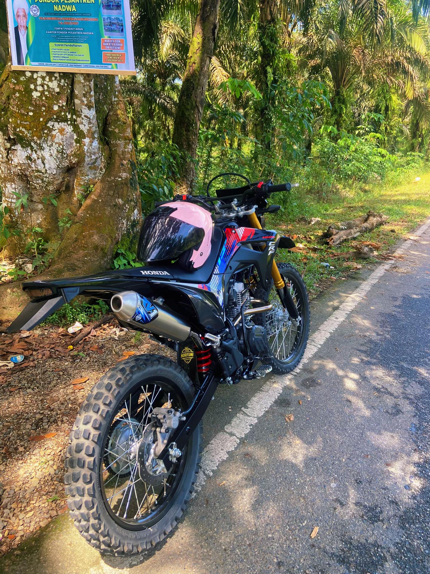 @Wandi Arjuna🤫