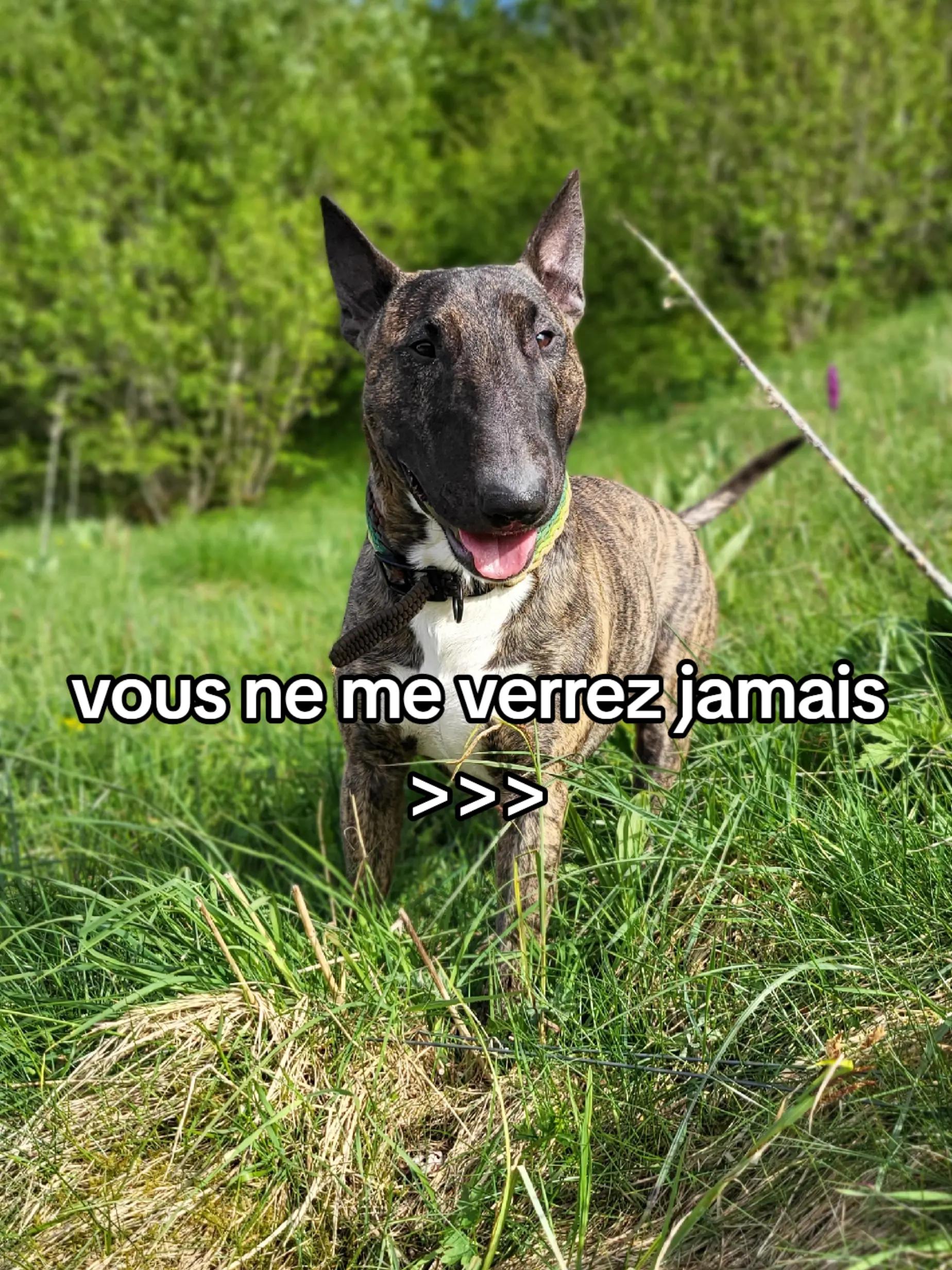 @La.petite.ferme