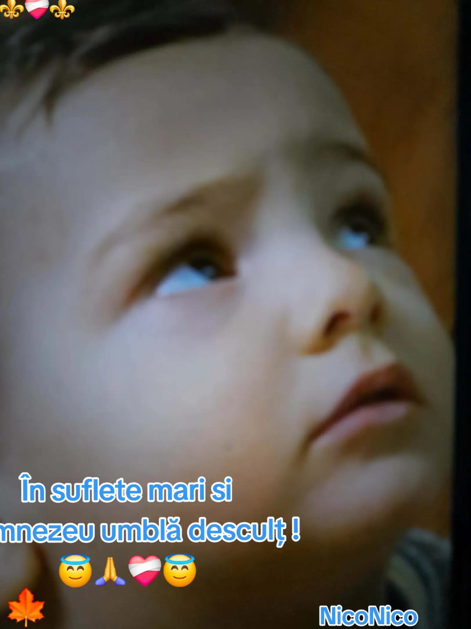 @NicoNico
