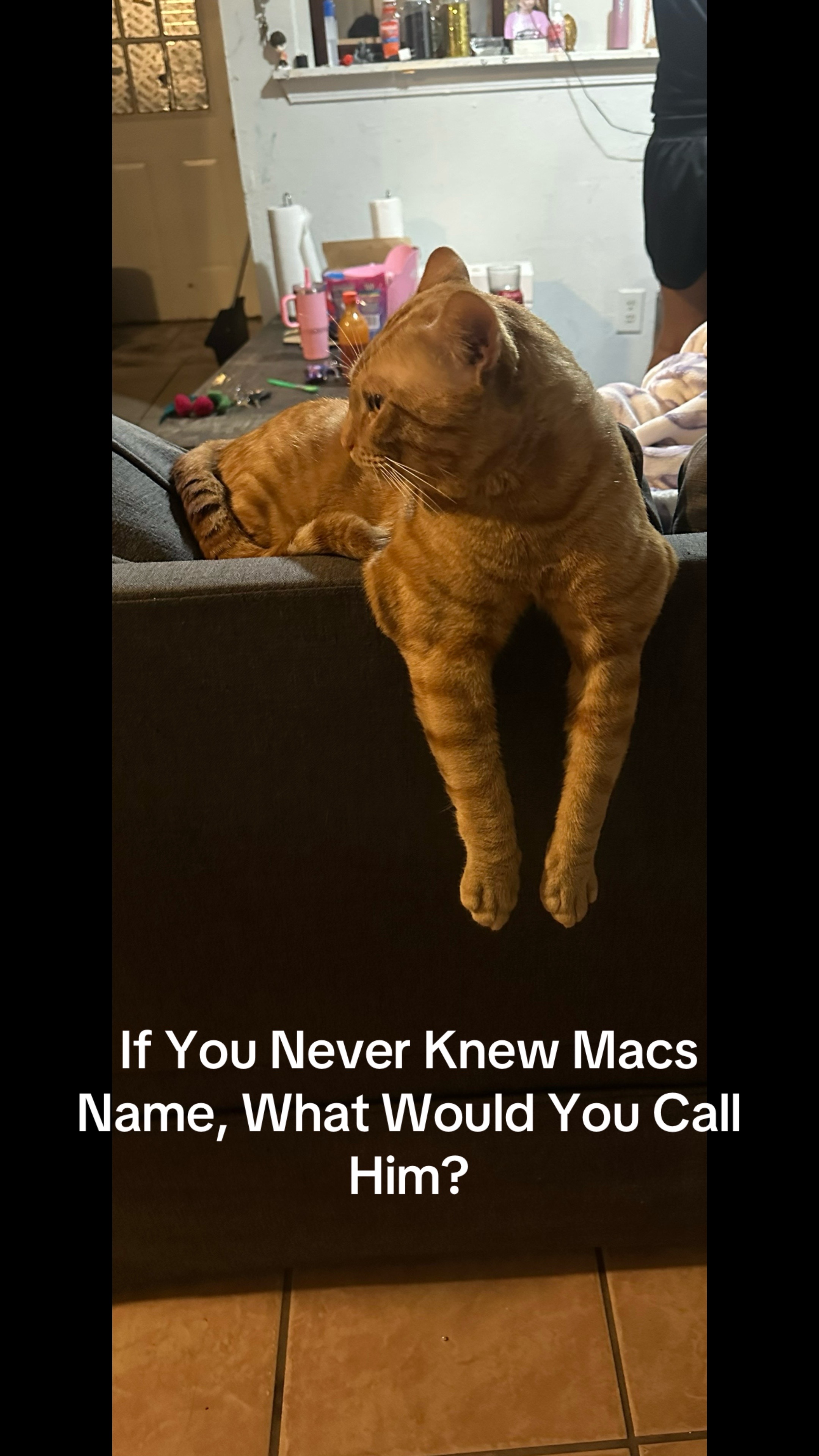 @𝓜𝓪𝓬𝓵𝓸𝓿𝓮