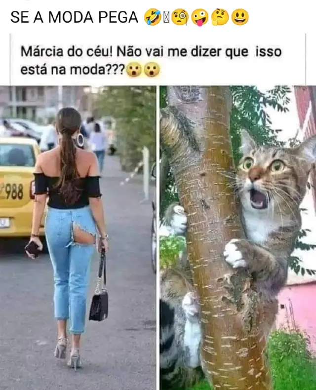 @brus inaji