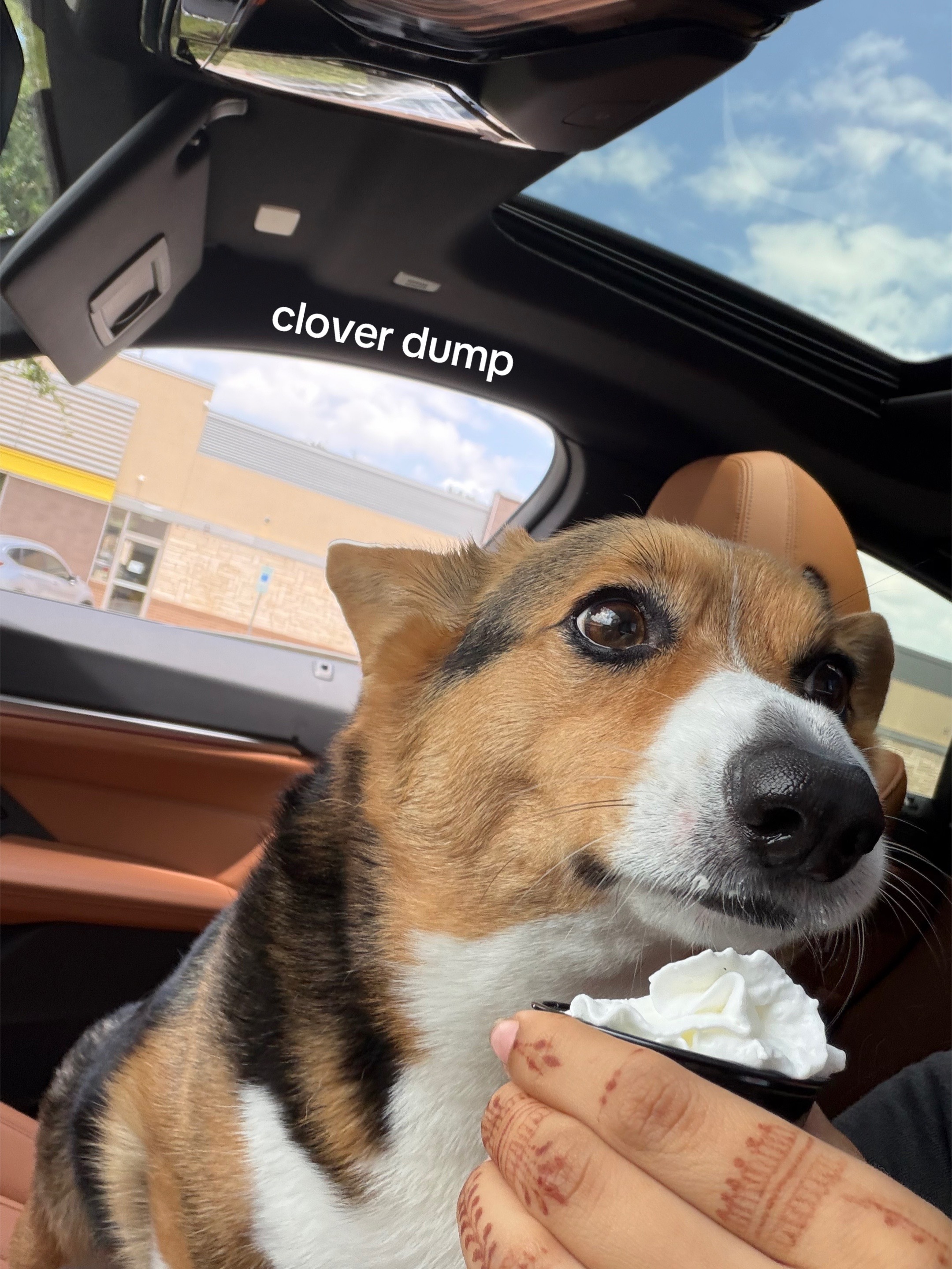 @snoopyishu