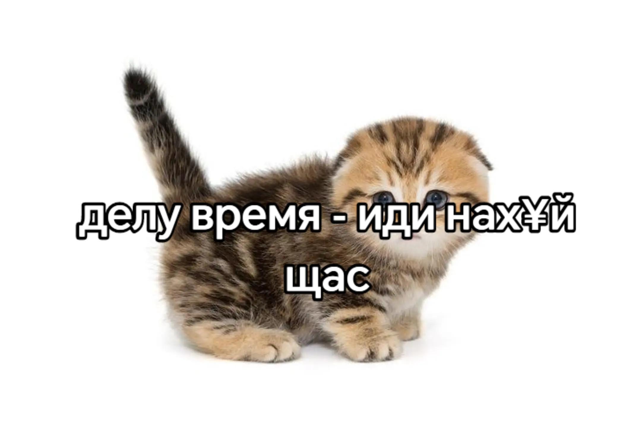 @лупикал
