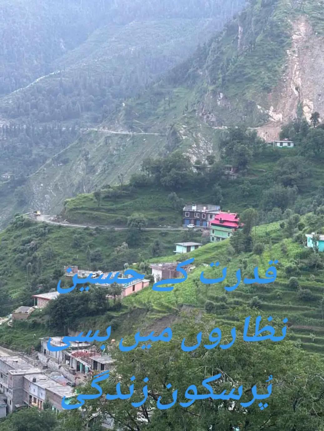 @فیڈ مارشل 804🔥