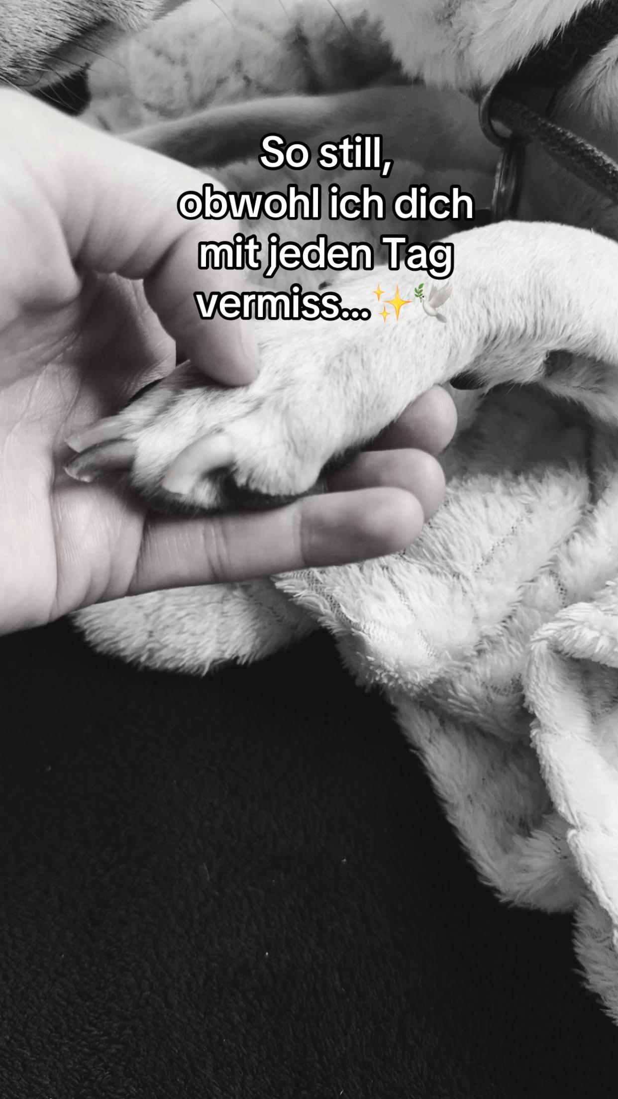 @Aileen