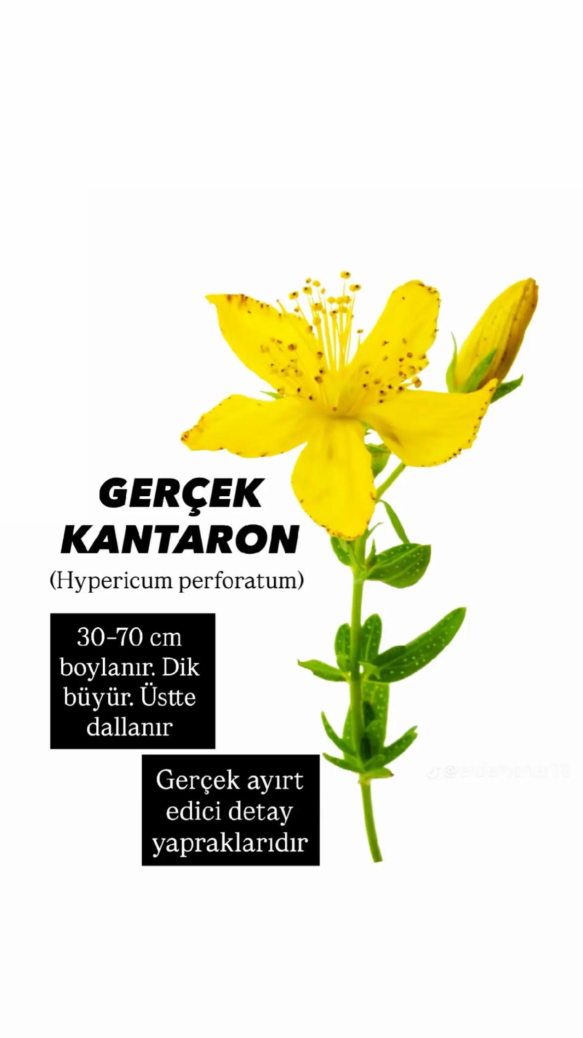 @İDRİS GÜZEL😍💓