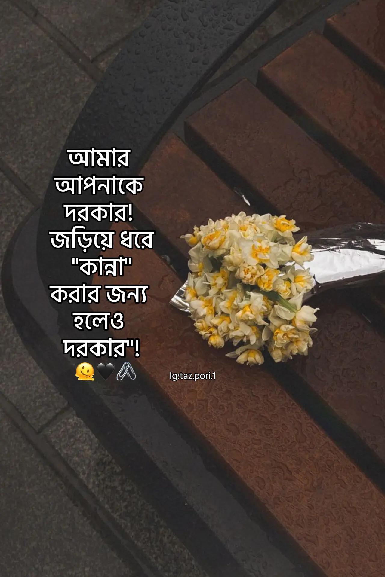 @—𐙚রুহি/تانيشة!!🌙🦢