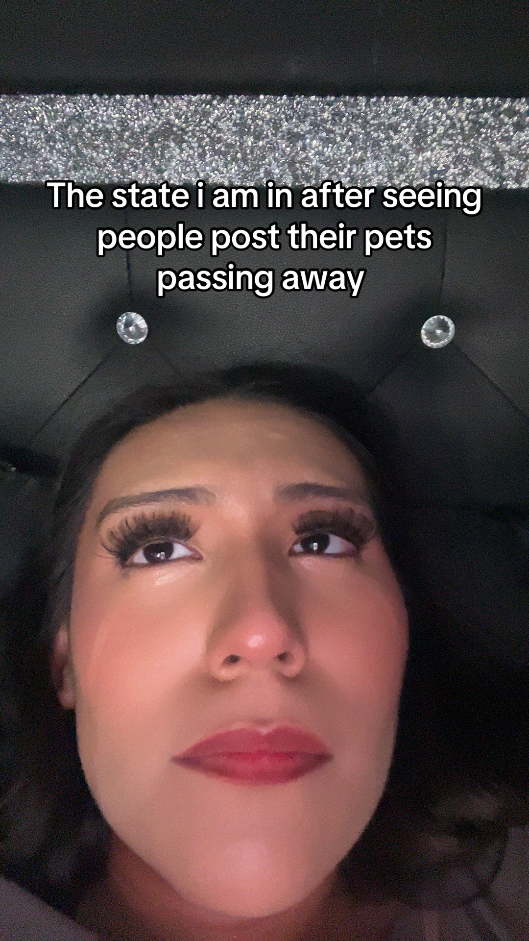 @Liz(。•̀ᴗ-)✧