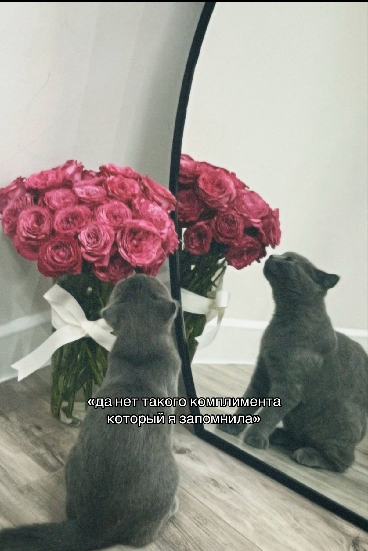 @даха🫦