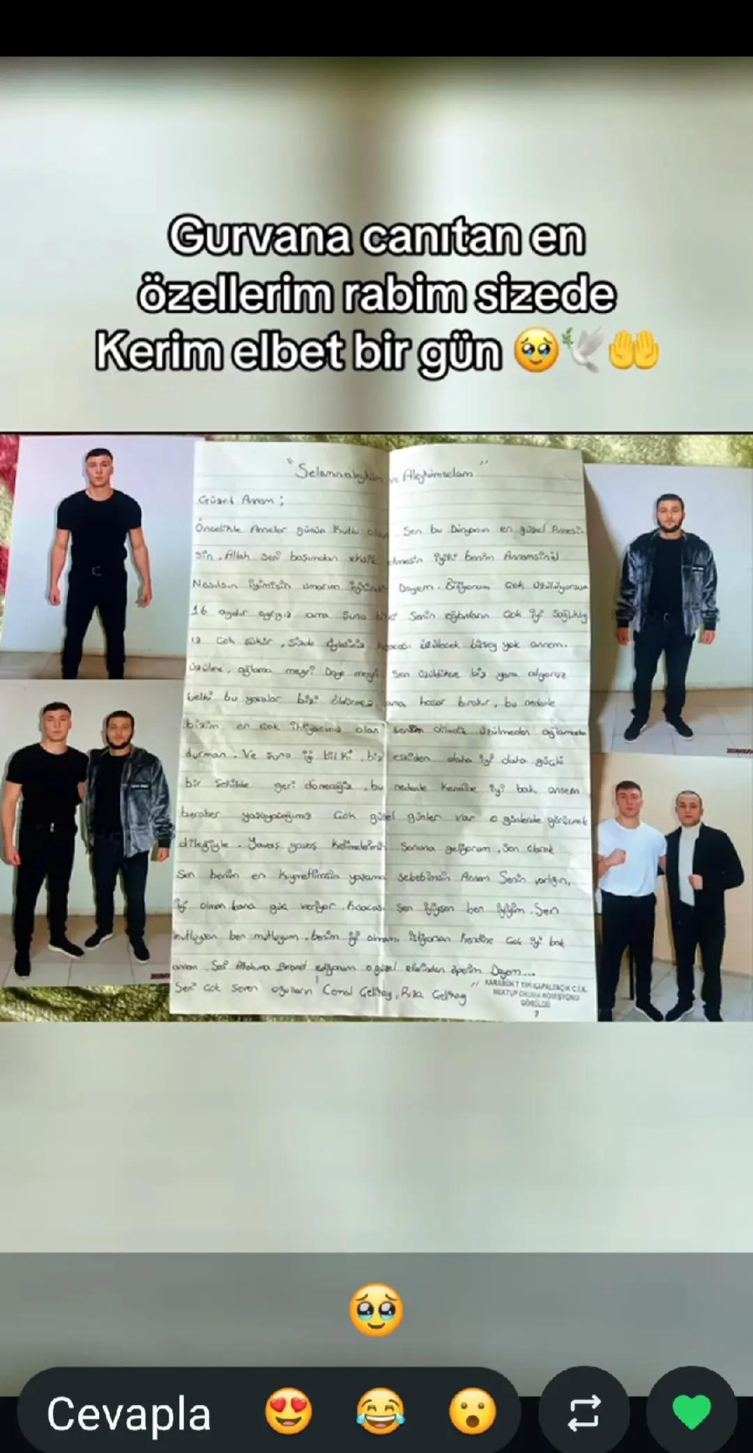 @dilek