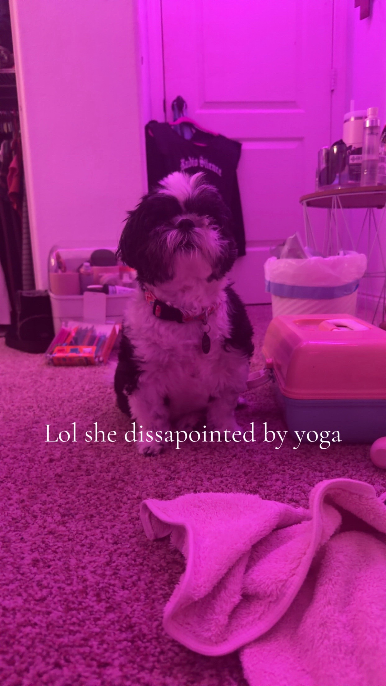 @mykittencatslipperscop3