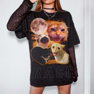 @sillyraccooncoo